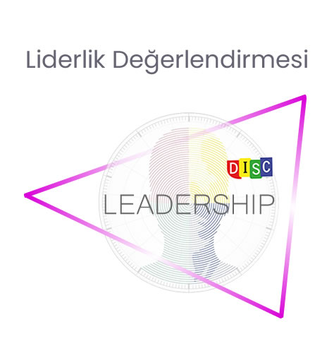 disc-liderlik
