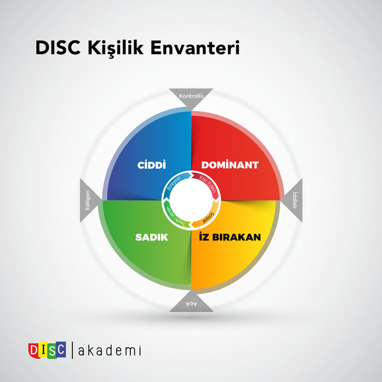 DISC Nedir S k a Sorulanlar