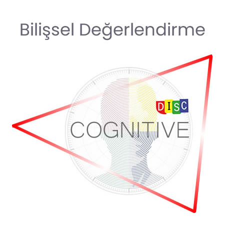 disc-cognitive